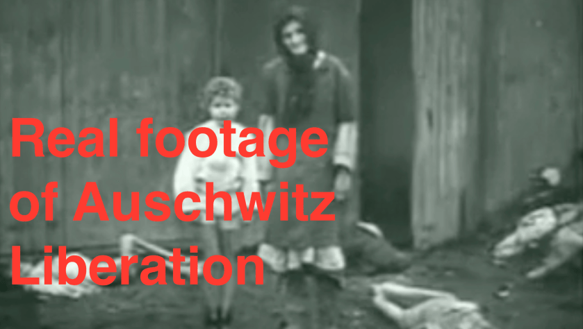 Holocaust and Auschwitz liberation